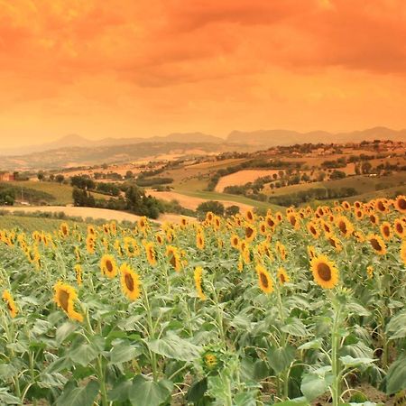 Casa Vacanze Angelica Ostra Vetere المظهر الخارجي الصورة