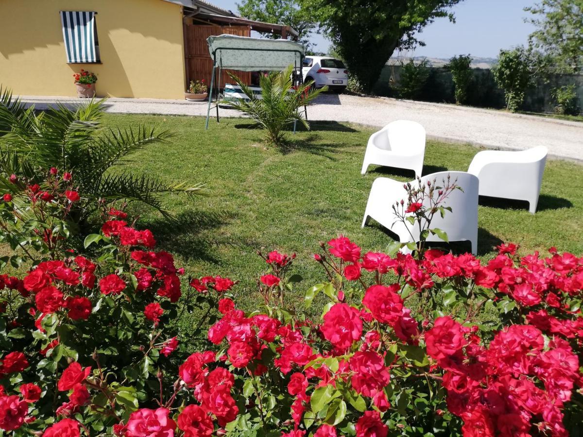 Casa Vacanze Angelica Ostra Vetere المظهر الخارجي الصورة
