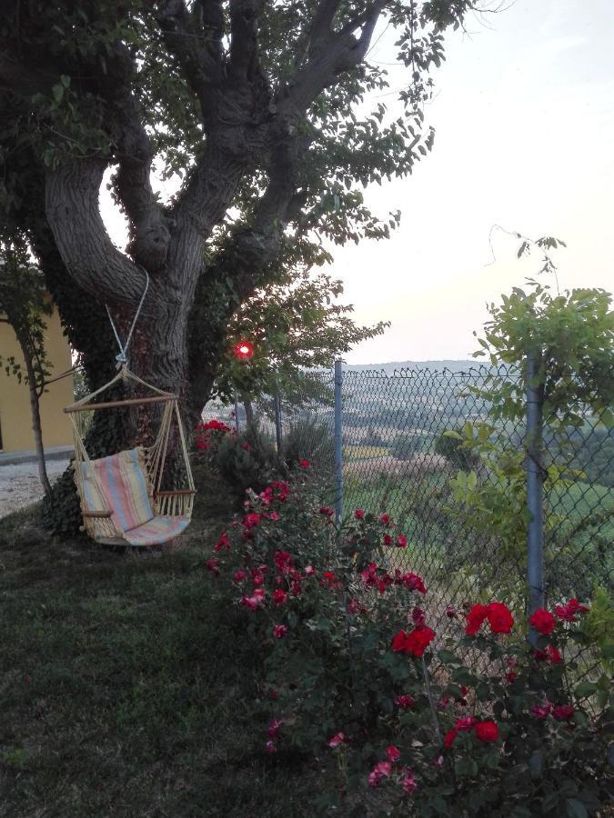 Casa Vacanze Angelica Ostra Vetere المظهر الخارجي الصورة