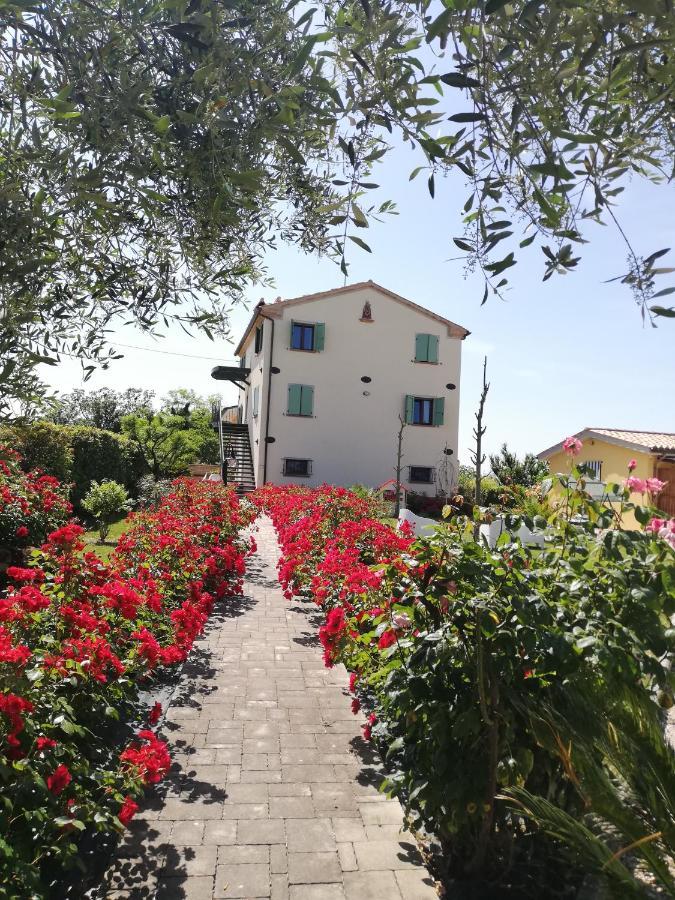 Casa Vacanze Angelica Ostra Vetere المظهر الخارجي الصورة