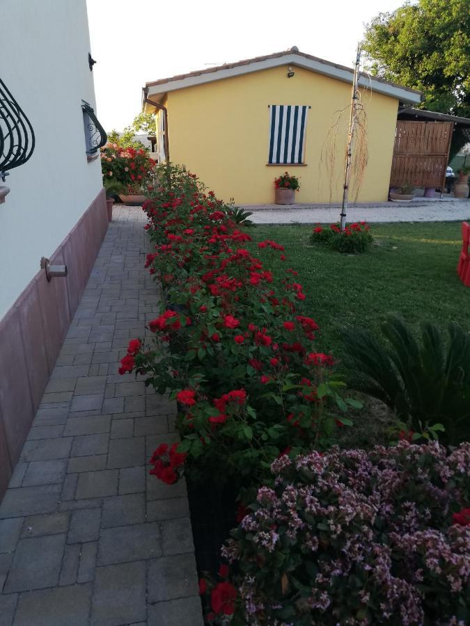 Casa Vacanze Angelica Ostra Vetere المظهر الخارجي الصورة