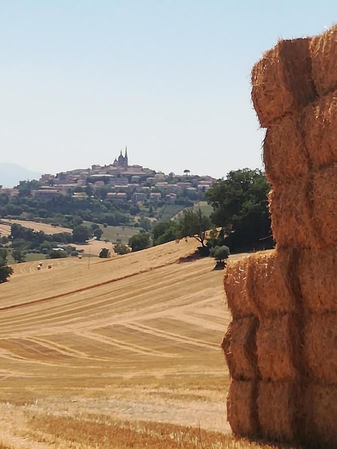 Casa Vacanze Angelica Ostra Vetere المظهر الخارجي الصورة