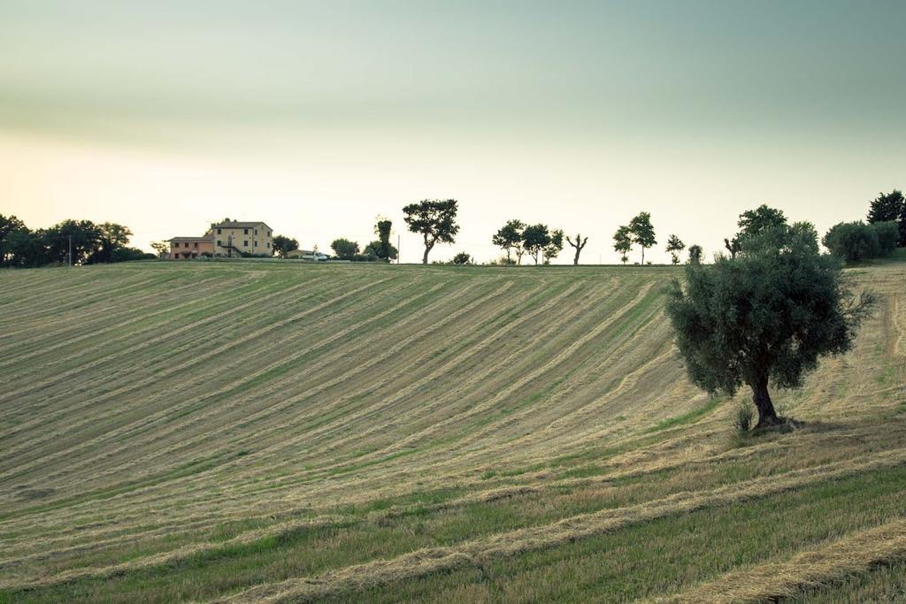 Casa Vacanze Angelica Ostra Vetere المظهر الخارجي الصورة